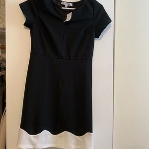 NWT fit and flare dress